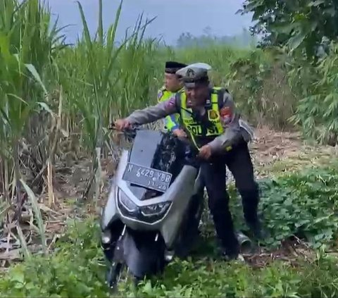 Polisi Sita Puluhan Motor yang Disembunyikan di Kebun Tebu, Milik Siapa?