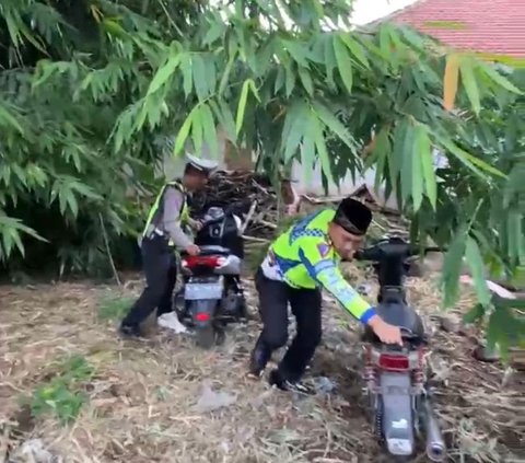 Polisi Sita Puluhan Motor yang Disembunyikan di Kebun Tebu, Milik Siapa?