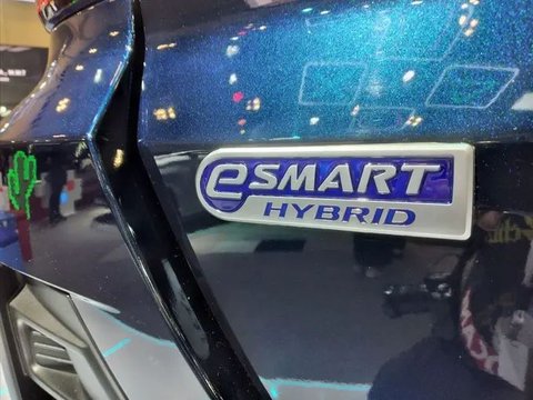 Daihatsu Klaim Konsumennya Belum Butuh Mobil Elektrifikasi, Kenapa ...