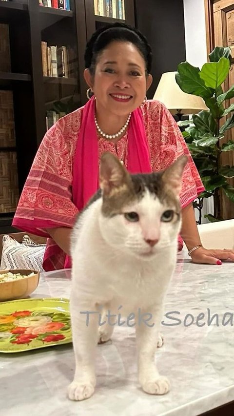 Titiek Soeharto Main Bareng Bobby Kucing, 'Calon Ibu Negara' Makin Sering Unggah Momen Mesra di Rumah Prabowo<br>