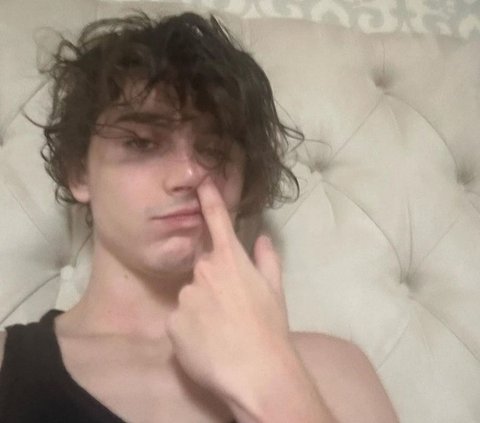 Fakta Menarik Timothee Chalamet, Ternyata Pernah DO saat Kuliah dan Fans Berat Power Rangers