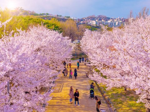 3. Seoul Forest