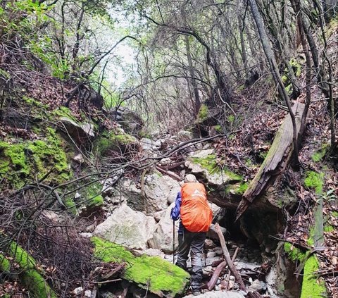 Punya Jalur Pendakian Terpanjang Kedua di Sumatra, Ini 4 Fakta Gunung Patah Bengkulu