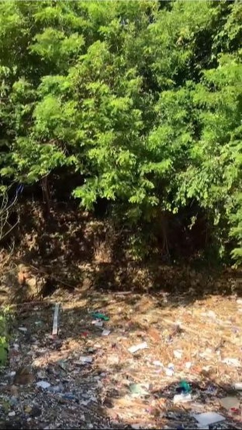 Viral 100 Ton Sampah Menumpuk di Muara Sungai Pantai Dreamland Bali, Ini Penjelasan Pemkab Badung