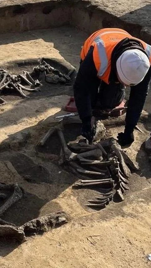 Arkeolog Temukan Tulang-Belulang Berusia 6.000 Tahun di Lokasi Pembangunan Pabrik Intel