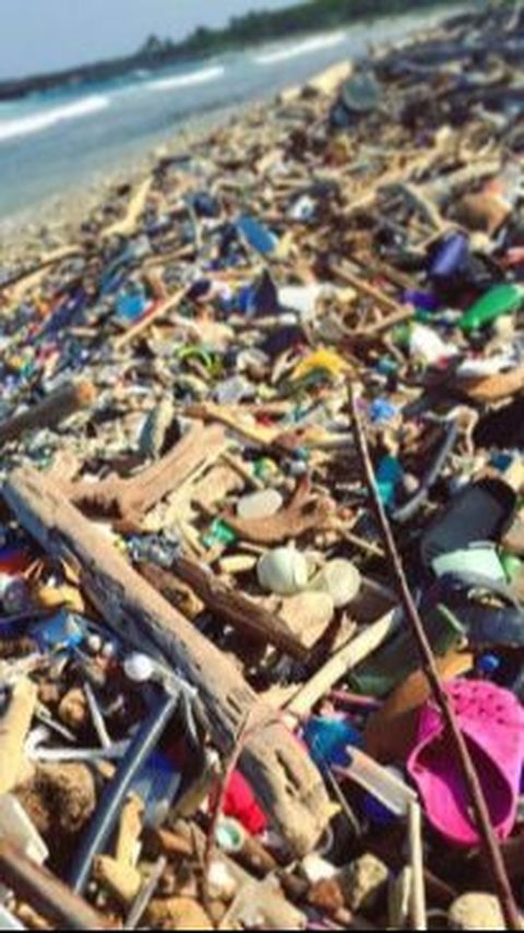 Pantai di Bali Kembali Dipenuhi Sampah, 300 Ton Sudah Diangkut