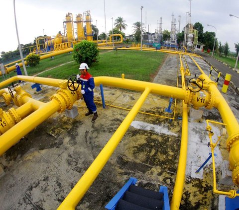 Terungkap, Begini Strategi Subholding Gas Pertamina Perkuat Eksistensi Bisnis Gas Bumi dan Ketahanan Energi