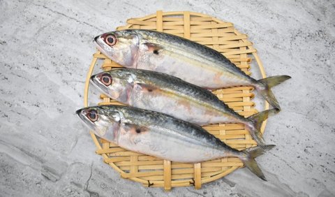 <b>9. Ikan Kembung</b>