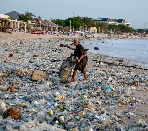 Seorang warga mengumpulkan sampah di Pantai Kedonganan, Kuta, Badung, Bali, Selasa (19/3/2024). Sampah kiriman yang terbawa ombak di lautan itu tampak menutupi hamparan pasir putih di Pantai Kedonganan. Sonny Tumbelaka/AFP