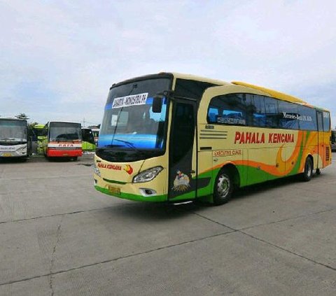 Bus Telolet Membahayakan, Bakal Didenda Rp500.000