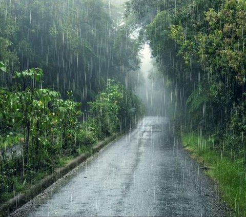 2.131 Warga Bali Terserang DBD, Faktor Curah Hujan Tinggi Picu Meningkatnya Populasi Nyamuk
