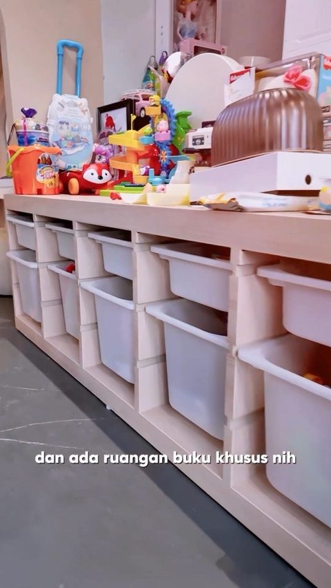 Some toys are neatly arranged in a cabinet with many shelves.