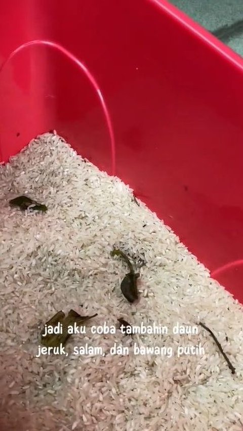 Tambahkan Daun Jeruk, Daun Salam dan Bawang Putih