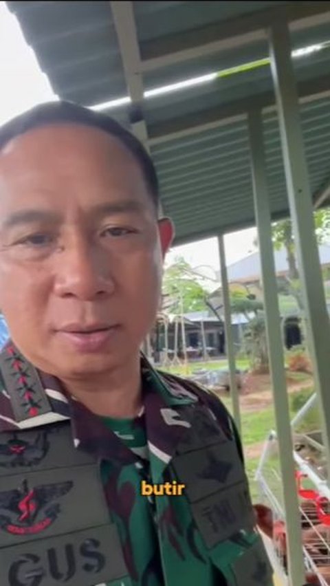 Masih Berseragam Loreng, Momen Bahagia Panglima TNI Panen Telur Ayam, Sang Putra Langsung Bereaksi <br>