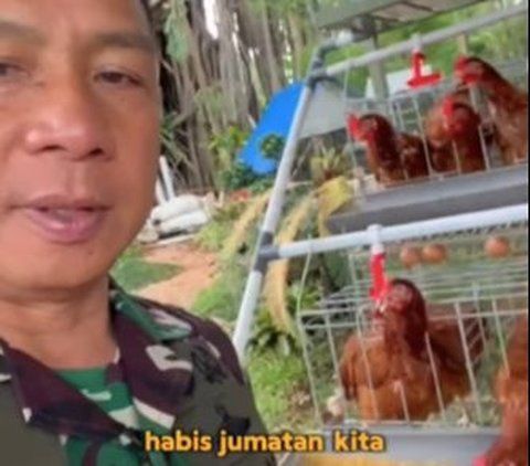 Masih Berseragam Loreng, Momen Bahagia Panglima TNI Panen Telur Ayam, Sang Putra Langsung Bereaksi