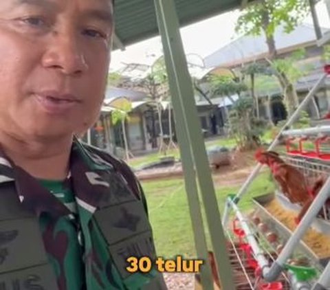 Masih Berseragam Loreng, Momen Bahagia Panglima TNI Panen Telur Ayam, Sang Putra Langsung Bereaksi
