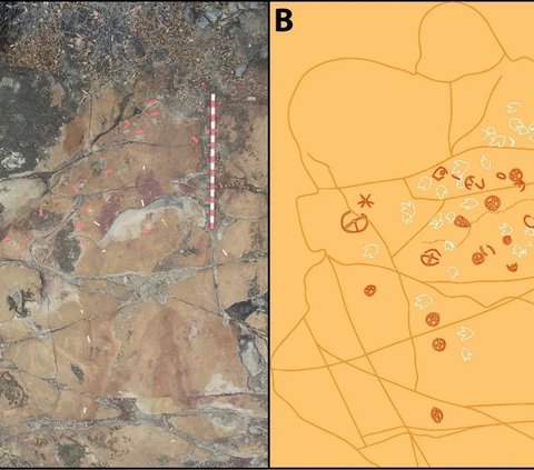 Arkeolog Temukan Gambar Misterius di Sepanjang Jejak Dinosaurus, Berasal dari 9.400 SM