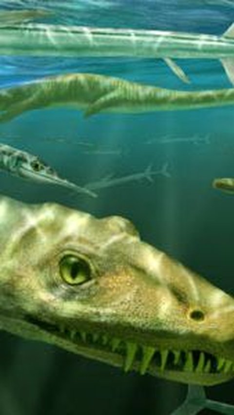 Ciri Fisik Dinocephalosaurus Orientalis<br>