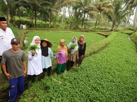 Berkantor di Desa Bumiharjo, Bupati Ipuk Gali Berbagai Potensi Pertanian