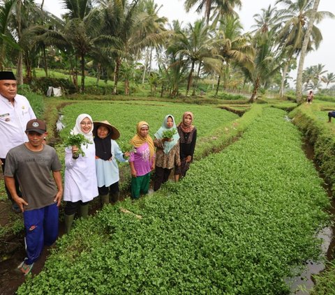 Berkantor di Desa Bumiharjo, Bupati Ipuk Gali Berbagai Potensi Pertanian