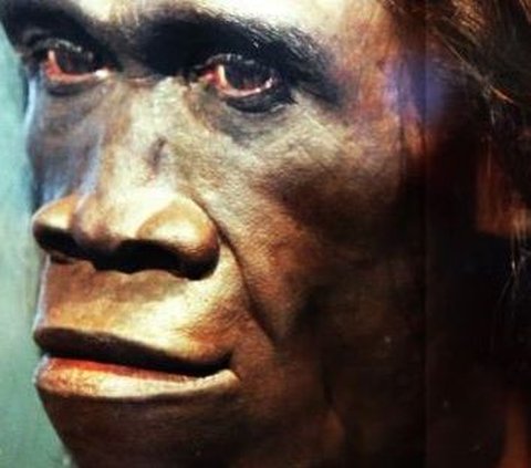 Bukti arkeologi juga mendukung perkiraan bahwa manusia mulai berbicara sekitar 1,6 juta tahun lalu. 