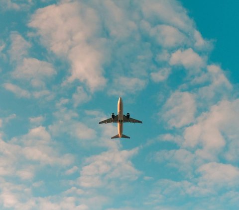 Viral Calon Pemudik Keluhkan Harga Tiket Pesawat yang Melambung Tinggi, Ternyata Ini Alasan Rute Domestik Cenderung Lebih Mahal