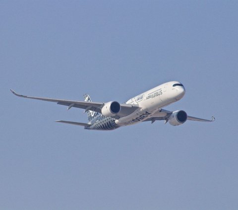 Viral Calon Pemudik Keluhkan Harga Tiket Pesawat yang Melambung Tinggi, Ternyata Ini Alasan Rute Domestik Cenderung Lebih Mahal