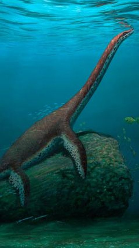 <b>Heboh Penemuan Spesies Baru Plesiosaurus di Jerman, Kini Sedang Digali</b><br>