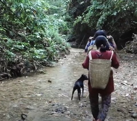 Warga Indonesia Beli Gula & Kopi Jalan Kaki ke Malaysia, Prajurit TNI Langsung Memeriksanya 'Lain kali belanja di Indonesia Ya'