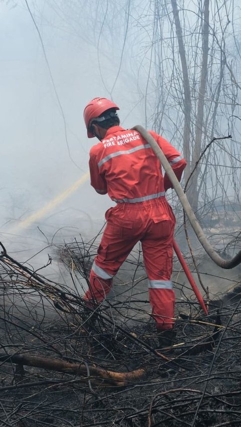 Demi Buka Kebun Sawit, Petani Bakar Hutan dan Lahan di Rokan Hilir