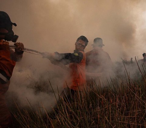 Demi Buka Kebun Sawit, Petani Bakar Hutan dan Lahan di Rokan Hilir