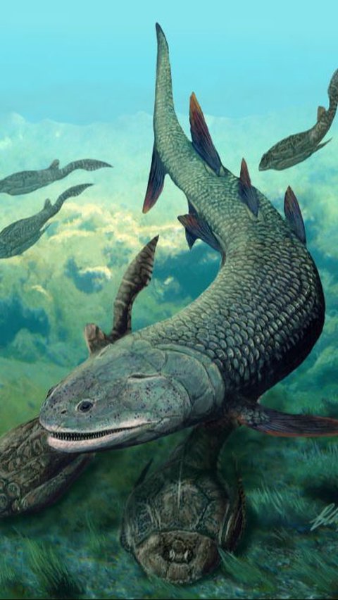 Discovery of New Species of Ancient Fish in Australia, Believed to be Able to Breathe on Land