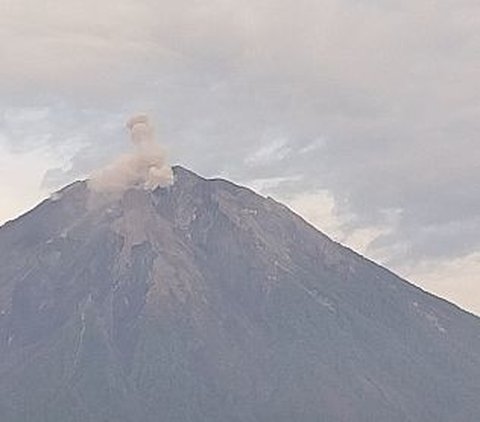 Gunung Semeru Erupsi, Semburan Abu Vulkanik Setinggi 1.000 Meter
