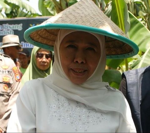 Sambil Panen Pisang, Khofifah Minta Restu Warga Lumajang untuk Maju Pilgub Jatim