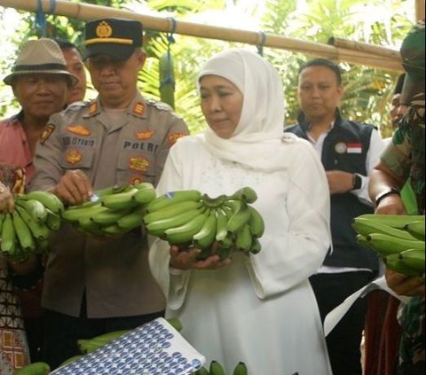 Khofifah Bicara Pilgub Jatim: Saya Merasa Nyaman dengan Mas Emil