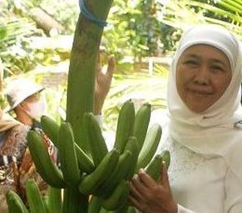 Khofifah Bicara Pilgub Jatim: Saya Merasa Nyaman dengan Mas Emil