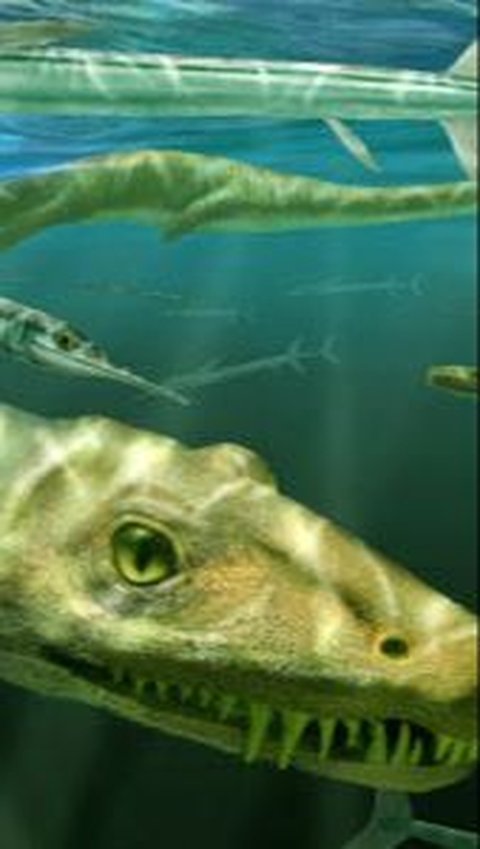 Penemuan Dinocephalosaurus Orientalis Oleh Para Ahli