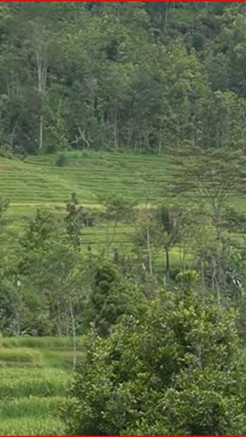 Kisah Desa Para Pengembara di Wonogiri, Dulunya Jadi Tempat Bertapa Raden Mas Said