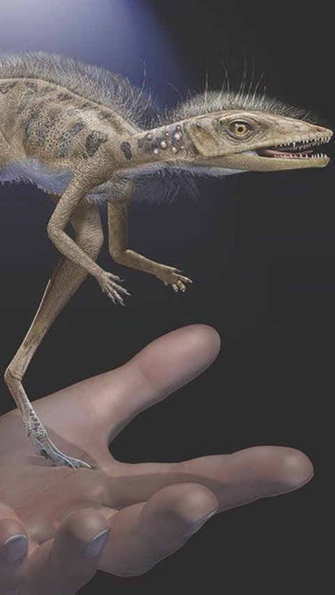 Fakta Lambeosaurinae Hadrosauridae (Dinosaurus Paruh Bebek)