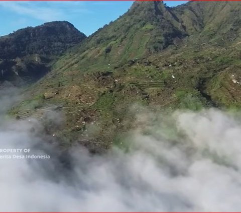 Mengunjungi Desa Parikesit Dieng, Punya Lahan Pertanian yang Subur dan Potensi Wisata