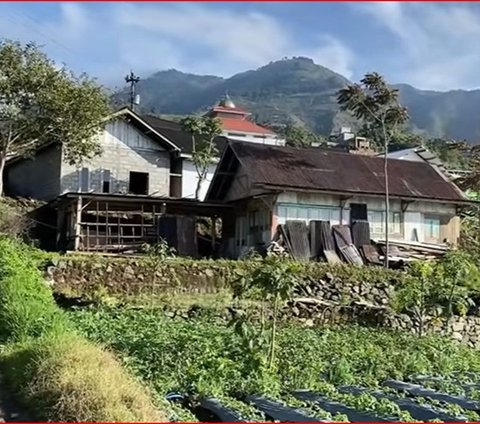 Mengunjungi Desa Parikesit Dieng, Punya Lahan Pertanian yang Subur dan Potensi Wisata