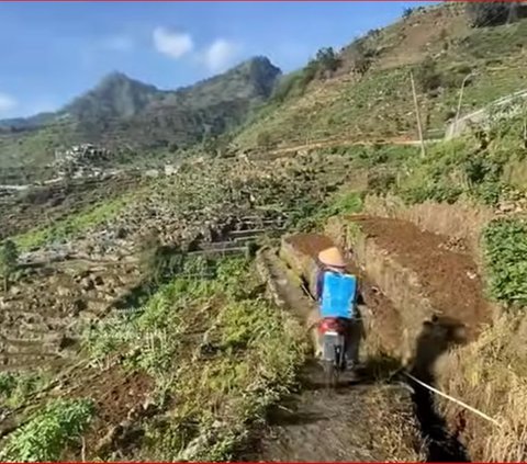 Mengunjungi Desa Parikesit Dieng, Punya Lahan Pertanian yang Subur dan Potensi Wisata