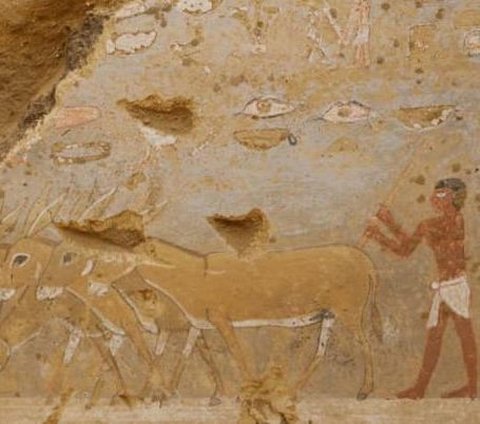Arkeolog Temukan Makam Pejabat Mesir Berusia 4.300 Tahun, Ternyata Isinya Gambar Kehidupan Sehari-Hari Mesir Kuno