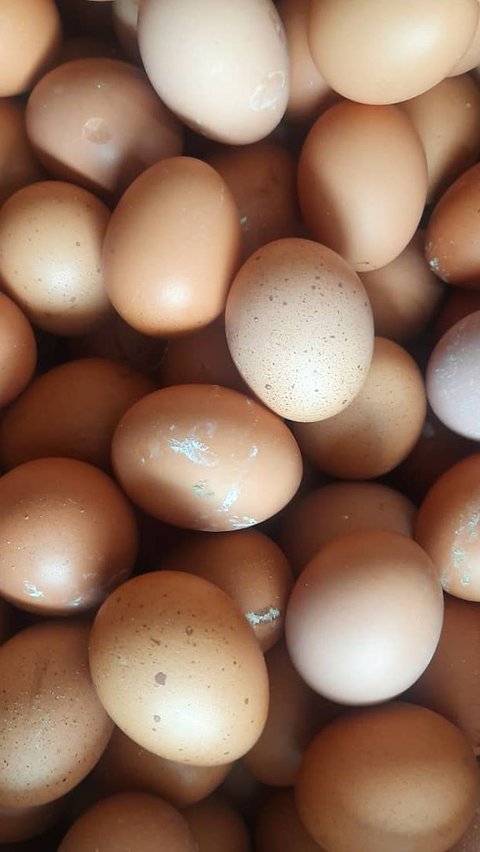 Jangan Dicuci, Ini Cara Jaga Higienitas Telur dengan Tepat Selama Disimpan<br>