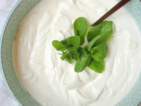 Peran Bakteri pada Yogurt