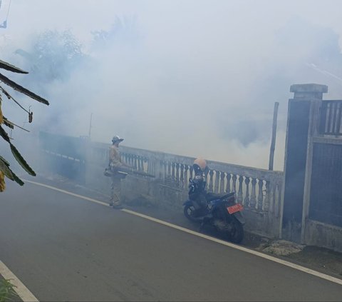 Waspada Kasus DBD di Jakarta Meningkat, Wilayah Ini Jadi yang Terparah