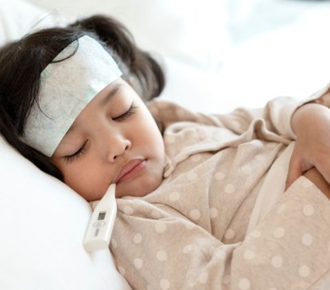 Cases of Dengue Fever are Increasing, Be More Cautious When Your Child has a High Fever