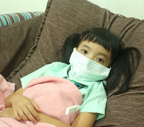 Cases of Dengue Fever are Increasing, Be More Cautious When Your Child has a High Fever