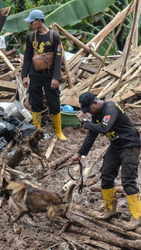 Saat ini para petugas berwenang sedang berjibaku melakukan pencarian korban yang masih terkubur material tanah dan puing bangunan. Foto: TIMUR MATAHARI / AFP