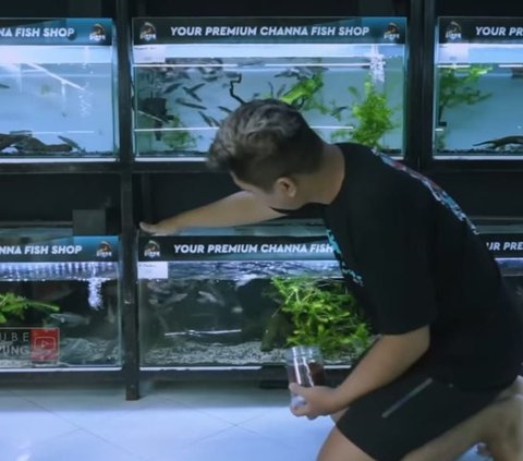 Mahasiswa Ini Nekat Jual Handphone untuk Bisnis Ikan Cana, Mengejutkan Kini Punya Ruko dan Hasilkan Puluhan Juta